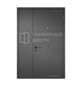Дверь тамбурная ТД-245